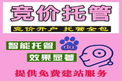 百度竞价创意素材制作技巧：案例分析及优化建议